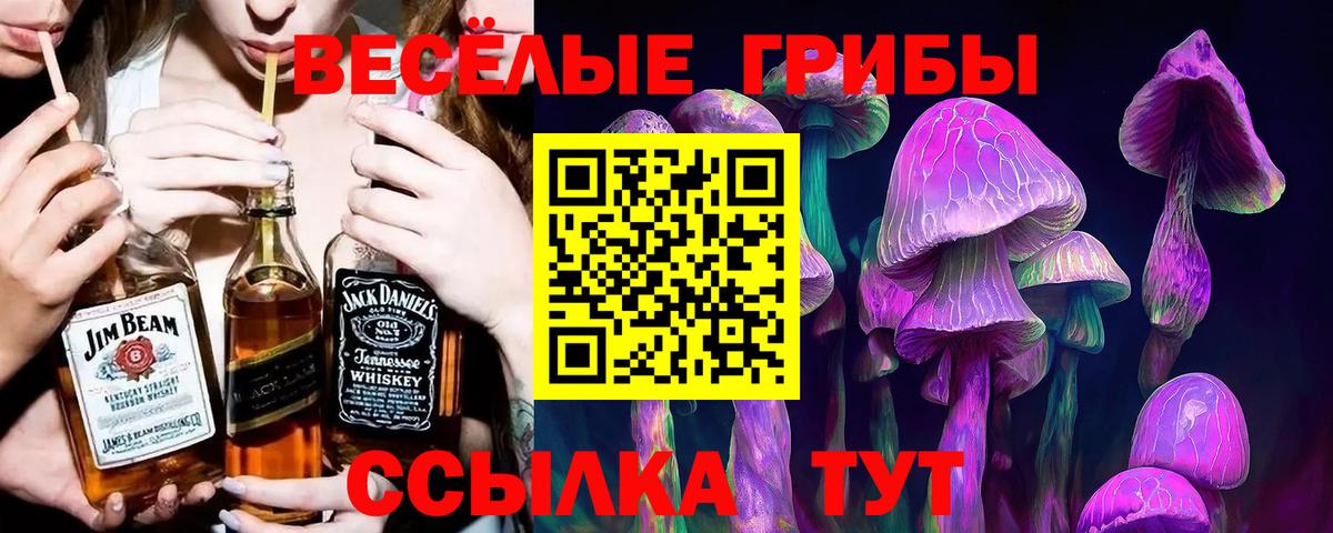 Псилоцибиновые грибы ЛСД  Псилоцибиновые грибы ЛСД  Тайшет  Вход с VPN 