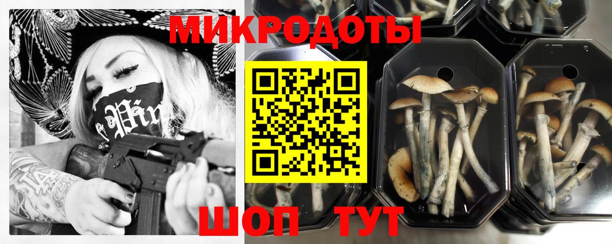 Псилоцибиновые грибы мицелий Тайшет
